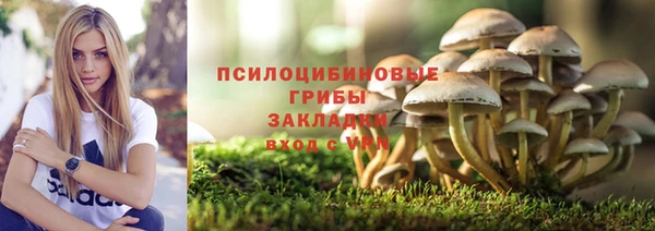 тгк Абинск