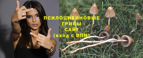тгк Абинск