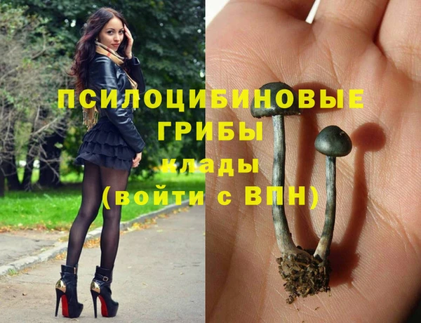 молекула духа Абаза