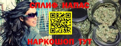стаф Ставрополь