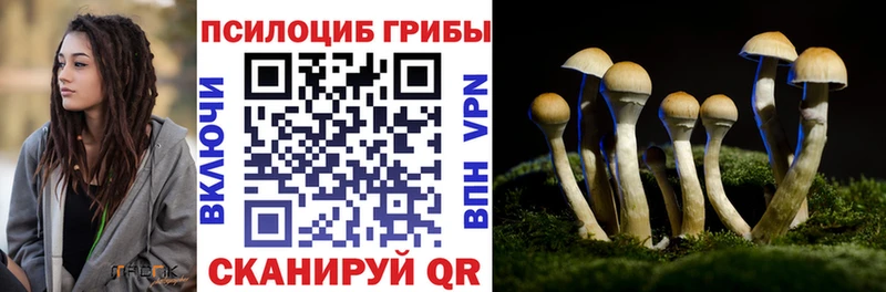 Галлюциногенные грибы Magic Shrooms Рязань