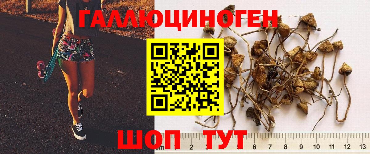 Псилоцибиновые грибы Cubensis  купить наркоту  Рязань  Вход с VPN 